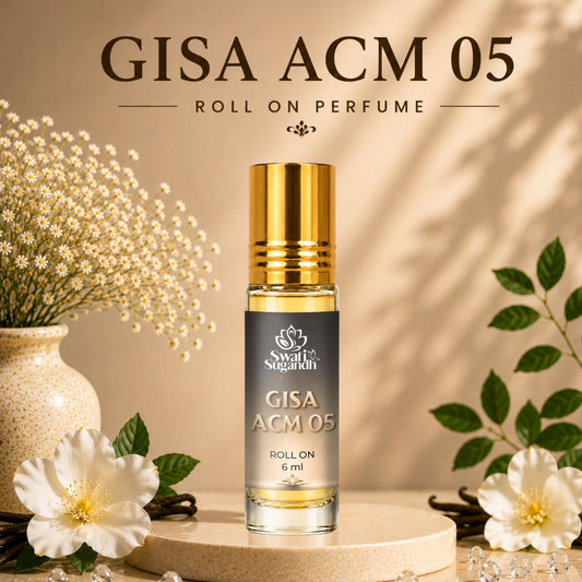 GISA ACM 05